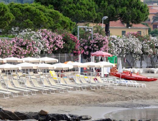 CAMPING LINO