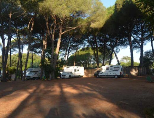 AREA SOSTA CAMPER – “LA PINETA” – PESCIA ROMANA
