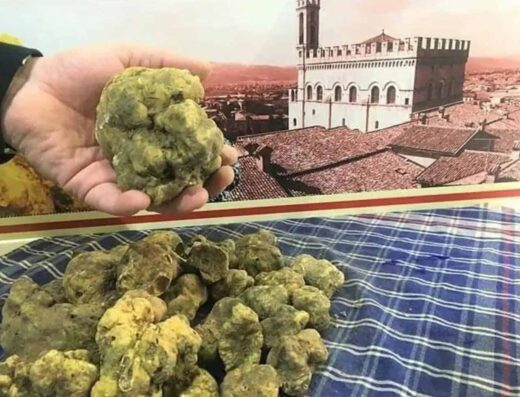 PRODOTTI TIPICI & TARTUFI DI GUBBIO- SELEZIONE MICHELE MOSCA