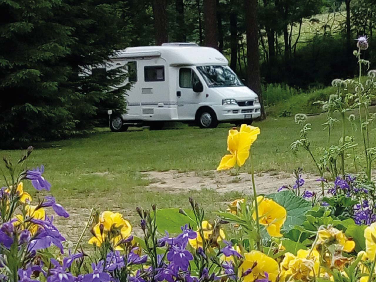Area sosta camper punta sabbioni - formazza