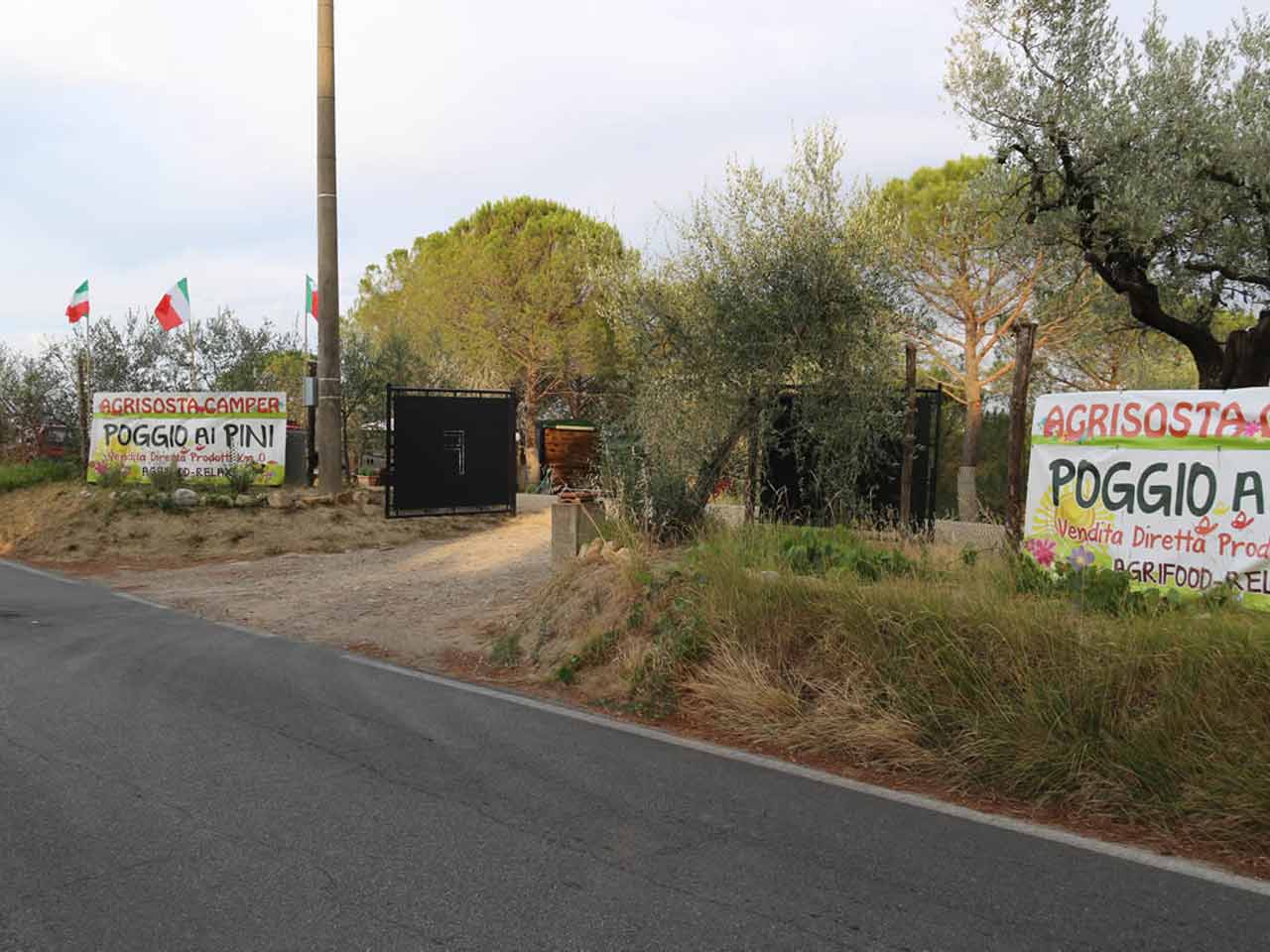 Agricamping poggio ai pini