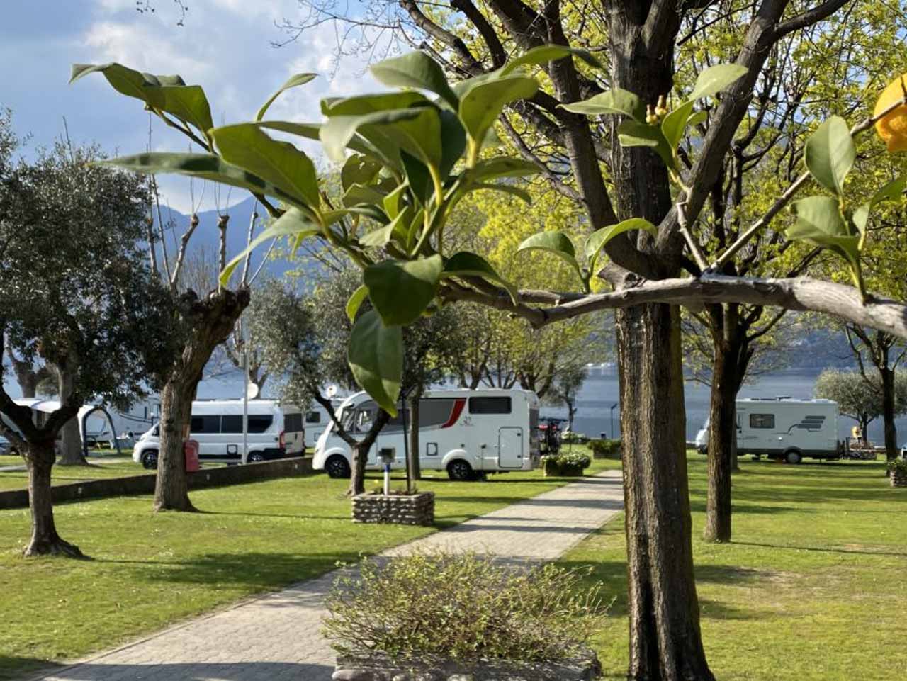 Camping punta d'oro