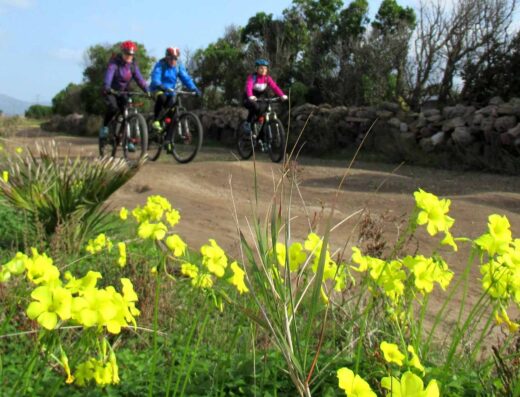 SARDINIA BIKING