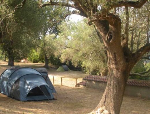 AZIENDA AGRITURISTICA “PALAZZONE” – SAN GIOVANNI A PIRO