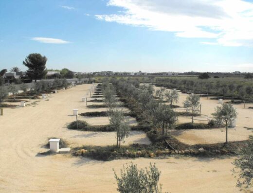 AREA SOSTA CAMPER OSTUNI GETSEMANI