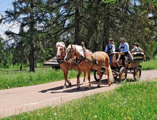 CAMPING SALTEN