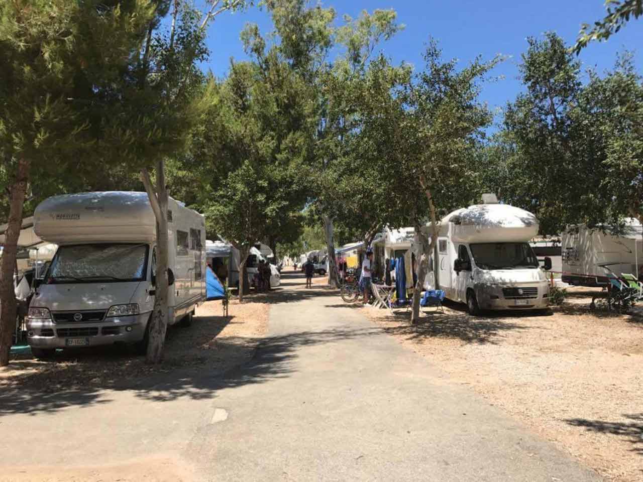 Camping soleado