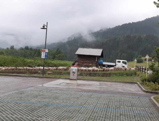 AREA SOSTA CAMPER TESERO LAGO