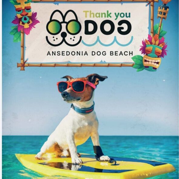 Thank you dog a.s.d.