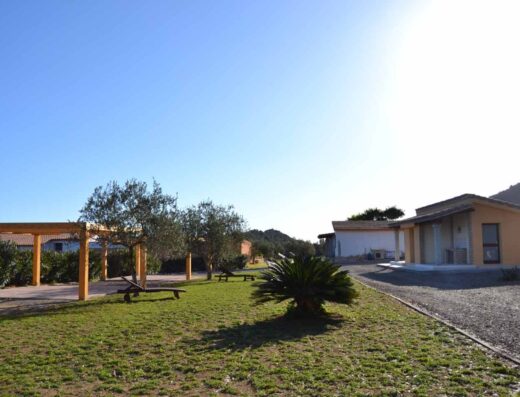 AGRICAMPEGGIO GLI ULIVI