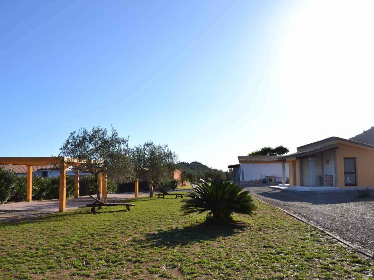 Agricampeggio degli ulivi