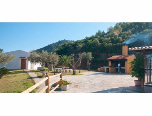 AGRICAMPEGGIO GLI ULIVI