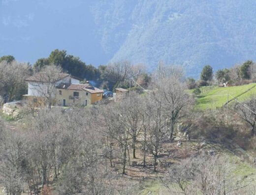 AGRICAMPEGGIO L’OASI DEL POLLINO