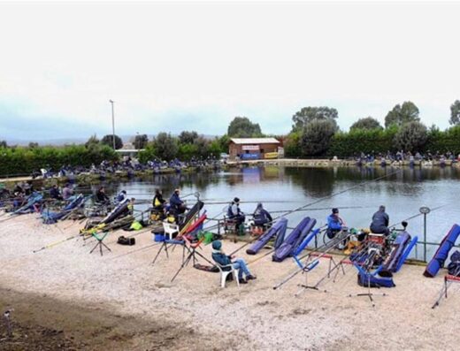 LAGHI ALBATROS