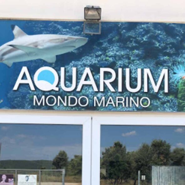Aquarium mondo marino