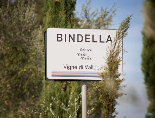 BINDELLA