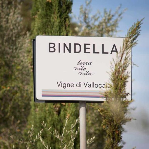 Bindella