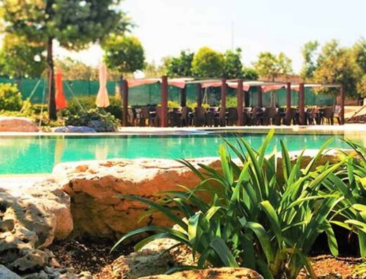 AGRITURISMO BREZZA TRA GLI ULIVI