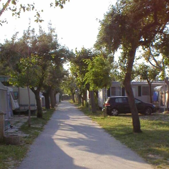 Pet family camping cortina