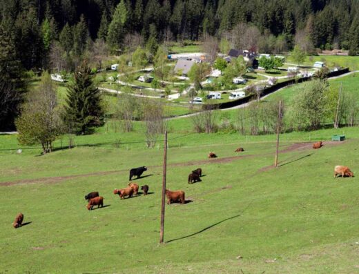 CAMPING VALLE VERDE