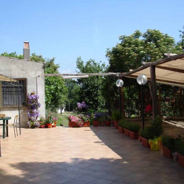 Trattoria di campagna da ciccio a la capannaccia