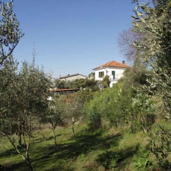 Cascina dei peri