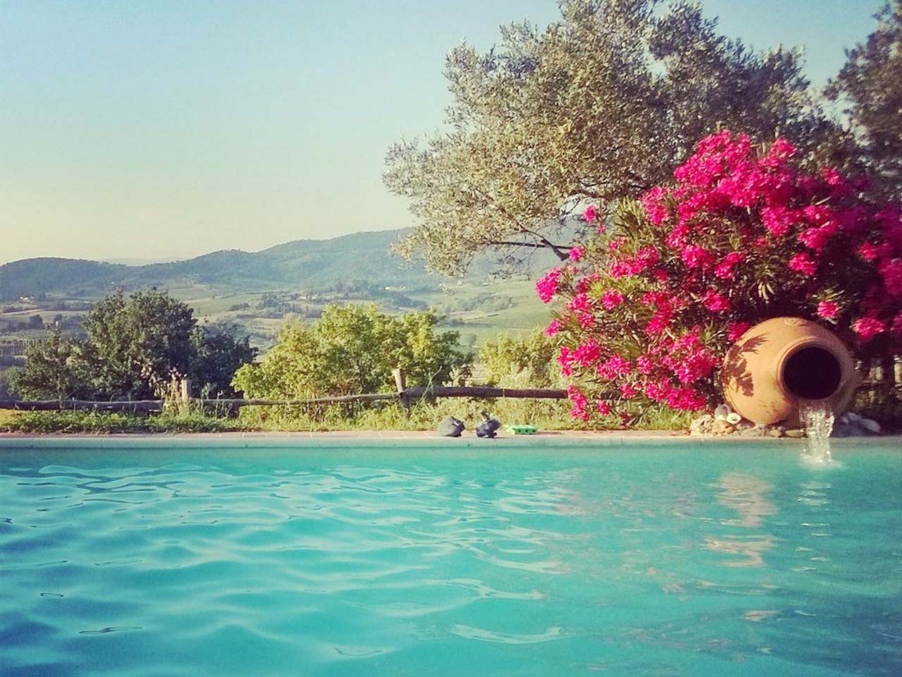 Cipollatico