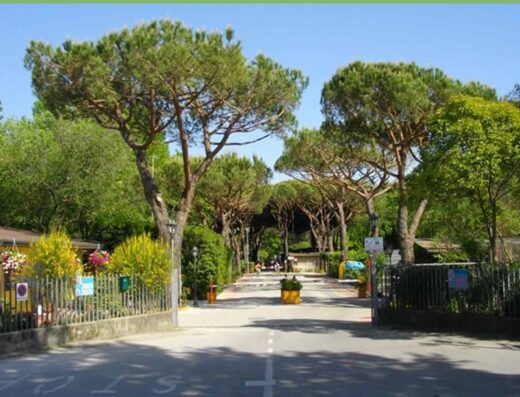 CAMPING DAL PINO