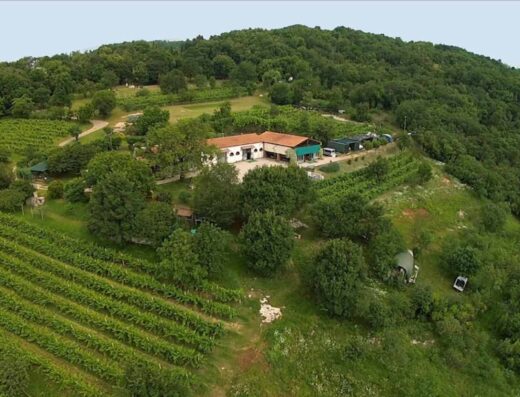 AGRICAMPING DEL MONTE