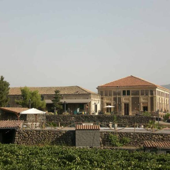 Etna wine