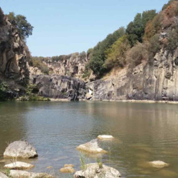 Fattoria parco degli ulivi