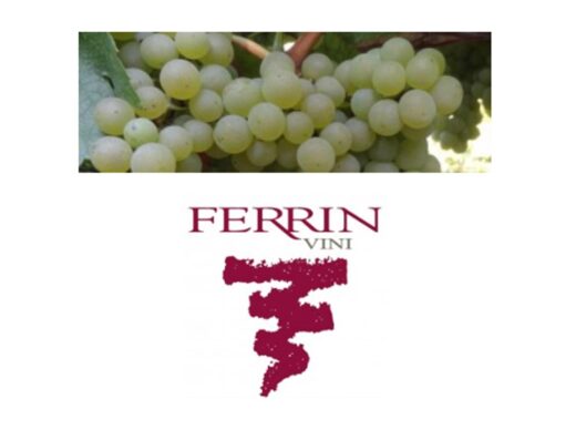 FERRIN VINI