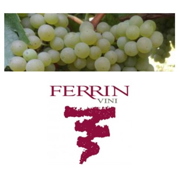 Ferrin vini