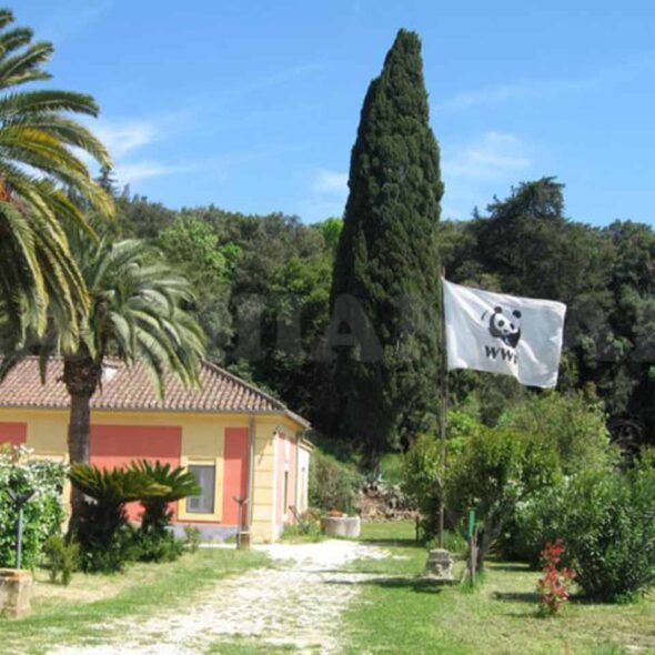 La ghiandaia - oasi wwf bosco di san silvestro