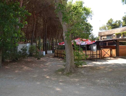 GIANNELLA CAMPING