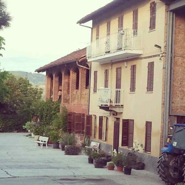 Grancollina