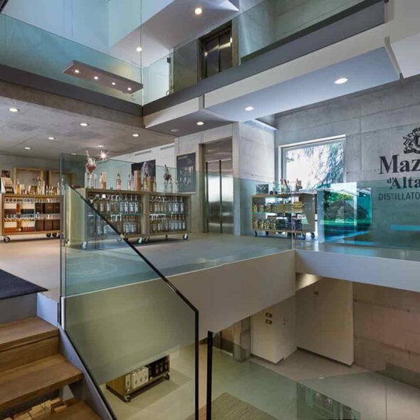 Grappa store