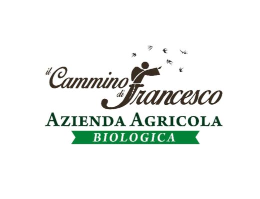 IL CAMMINO DI FRANCESCO