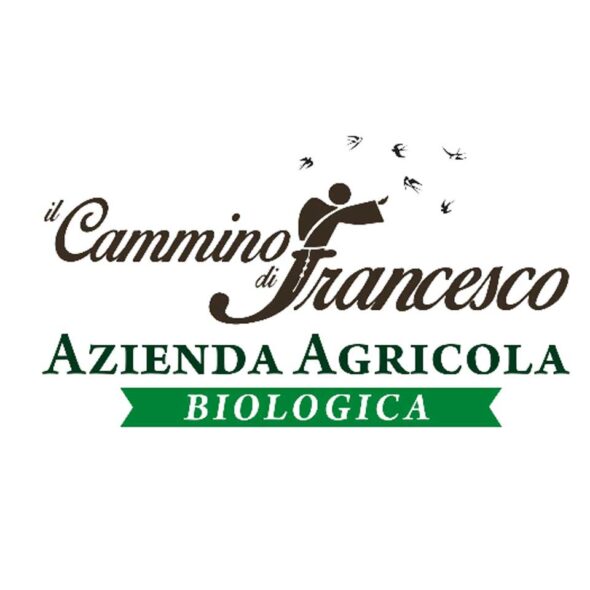 Il cammino di francesco