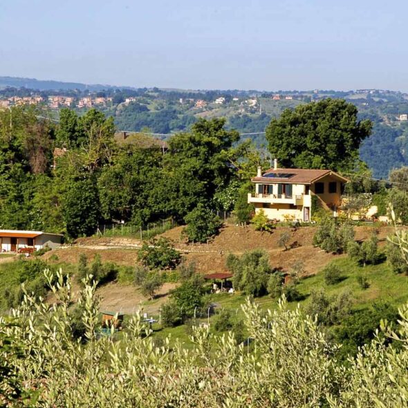La casa nettarina