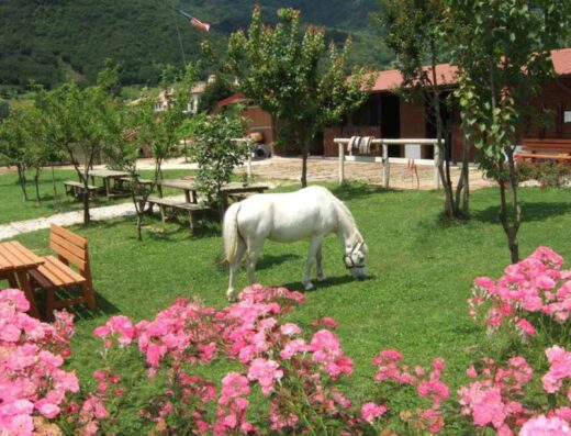 AGRITURISMO LA DOLZA