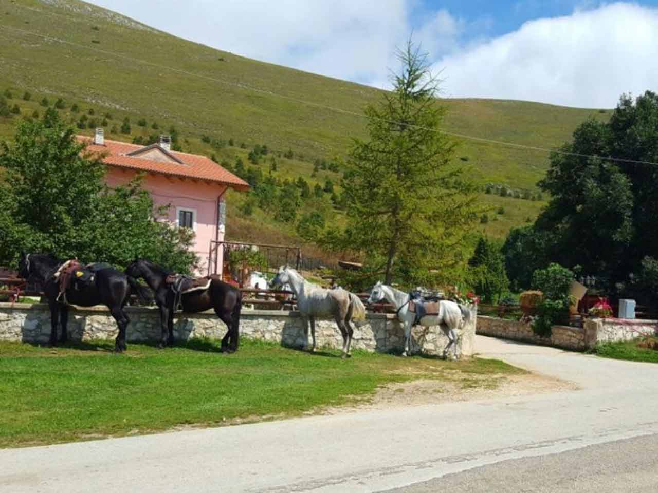 Agriturismo la giuliana