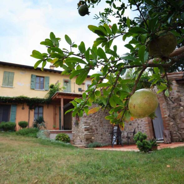 Agriturismo la montina