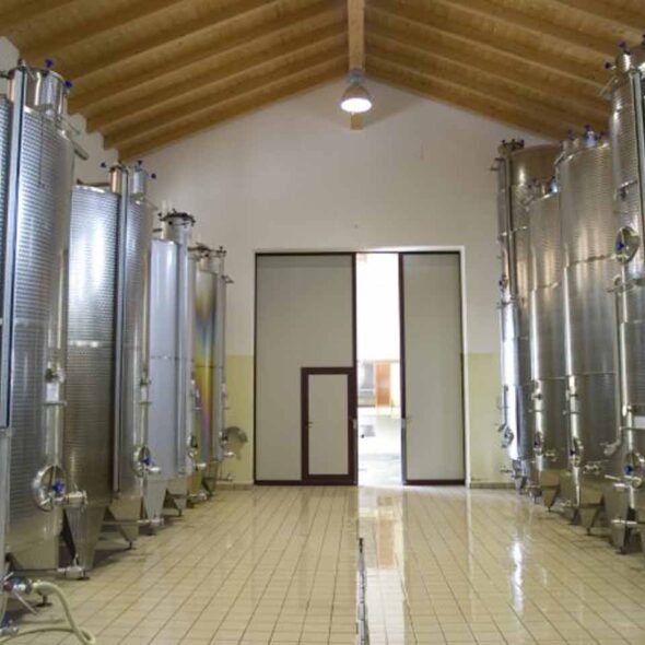 Azienda agricola le vigne di san giacomo