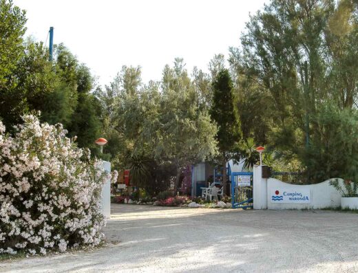 MARONDA CAMPING
