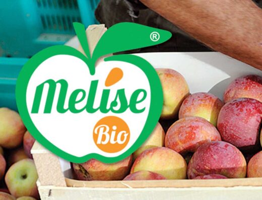MELISE