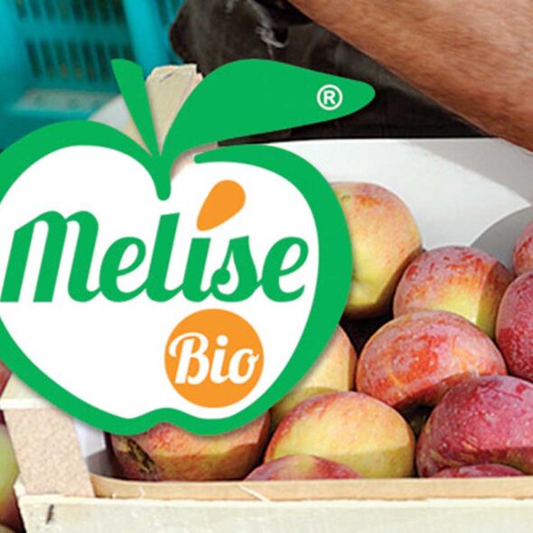 Melise