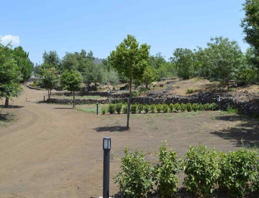 MONS GIBEL CAMPING PARK