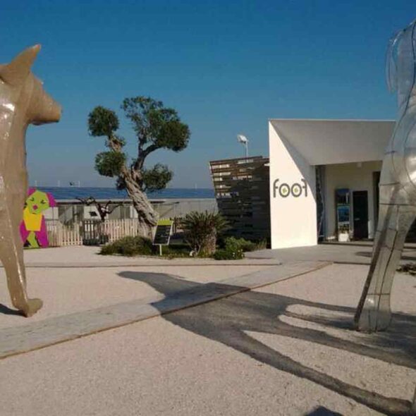 Foof - museo del cane