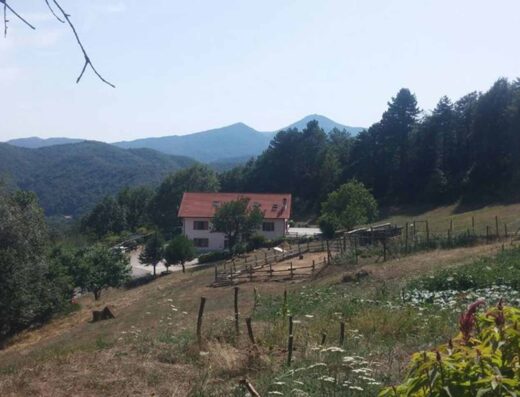 AGRITURISMO GLI ORTI DI BERTIN